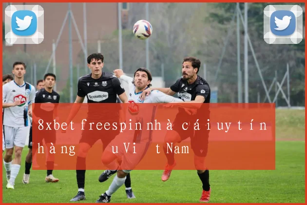 8xbet freespin nhà cái uy tín hàng đầu Việt Nam