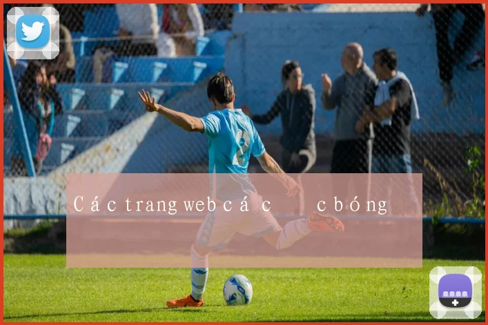 Các trang web cá cược bóng đá